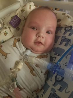 Armstrong-Owen-news-pic-250x333