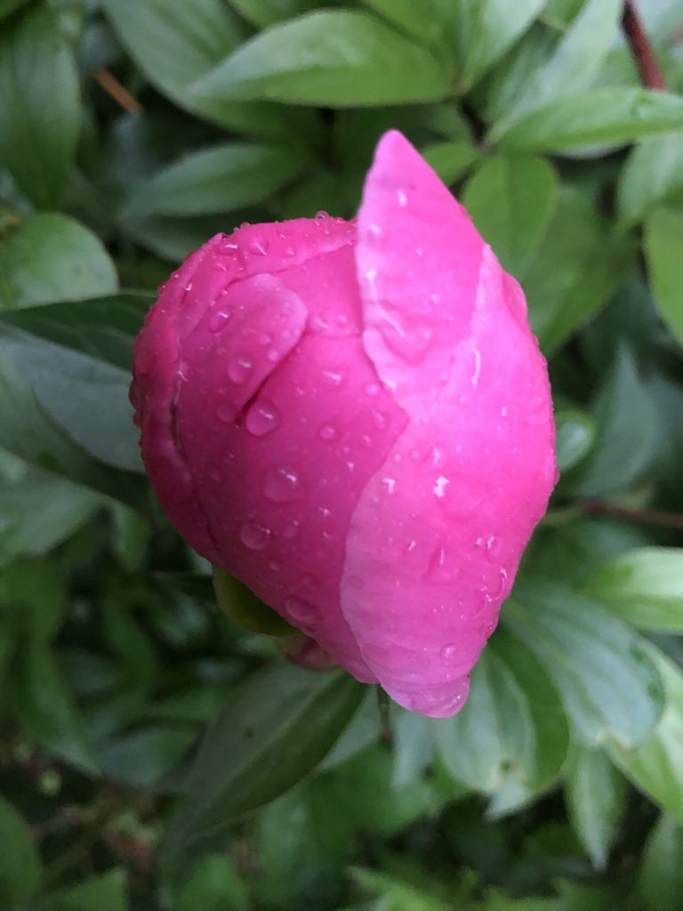 IMG_1890-scaled-e1624629502724