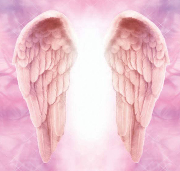angel-wings-002